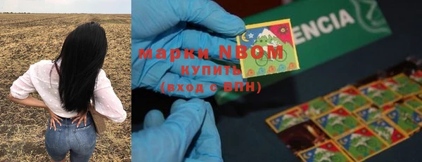 ГАЛЛЮЦИНОГЕННЫЕ ГРИБЫ Дмитров