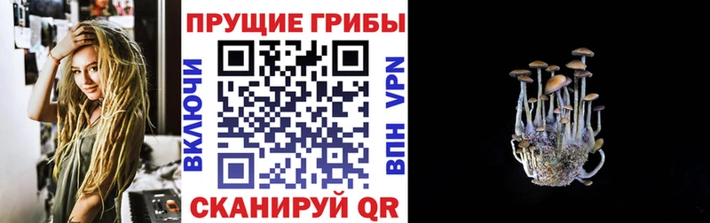 Псилоцибиновые грибы GOLDEN TEACHER купить наркотик Бокситогорск