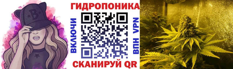 Бошки марихуана SATIVA & INDICA  Бокситогорск 